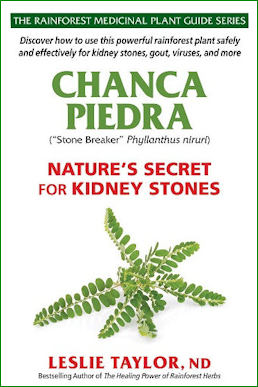 Chanca Piedra - Nature's Secret for Kidney Stones